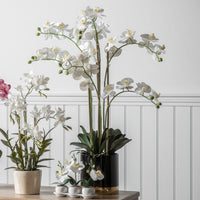 Gallery Interiors Orchid White with Black Gold Pot