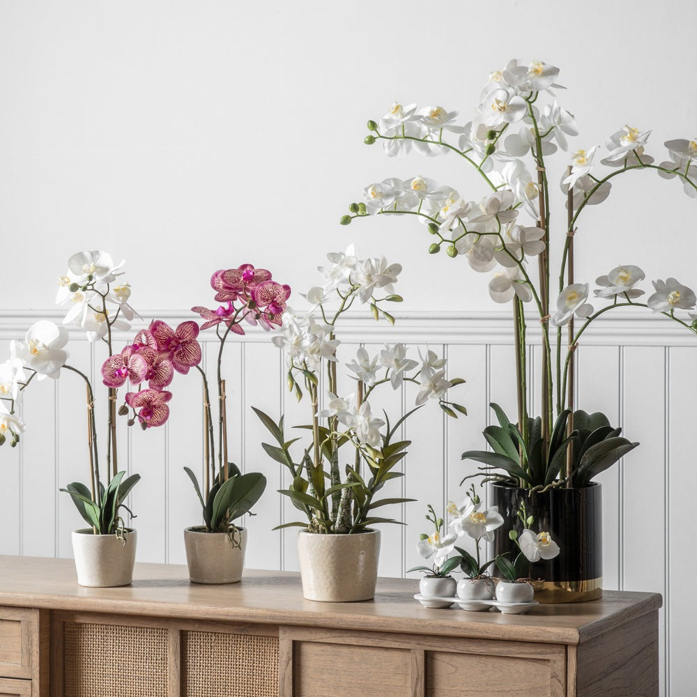 Gallery Interiors Orchid White with Black Gold Pot