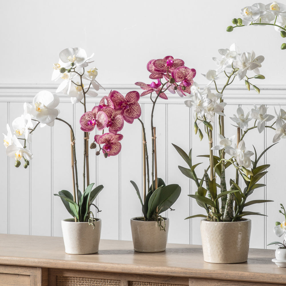 Gallery Interiors Orchid with Ceramic Pot in Pink