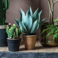 Gallery Interiors Aloe Wide Leaf Planter