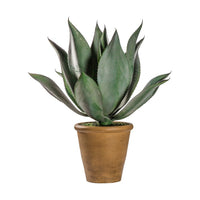 Gallery Interiors Aloe Wide Leaf Planter