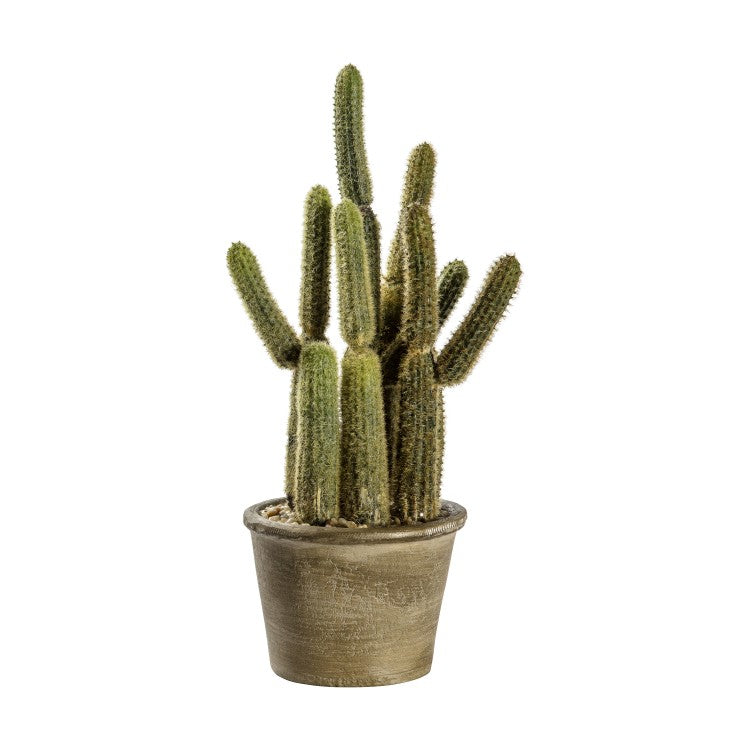 Gallery Direct Carnegiea Grey Cactus | Outlet