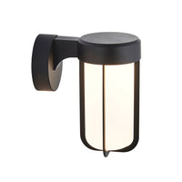 Olivia's Ava Outdoor Wall Light in Black with Frosted Glass