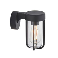 Olivia's Ava Outdoor Wall Light in Black