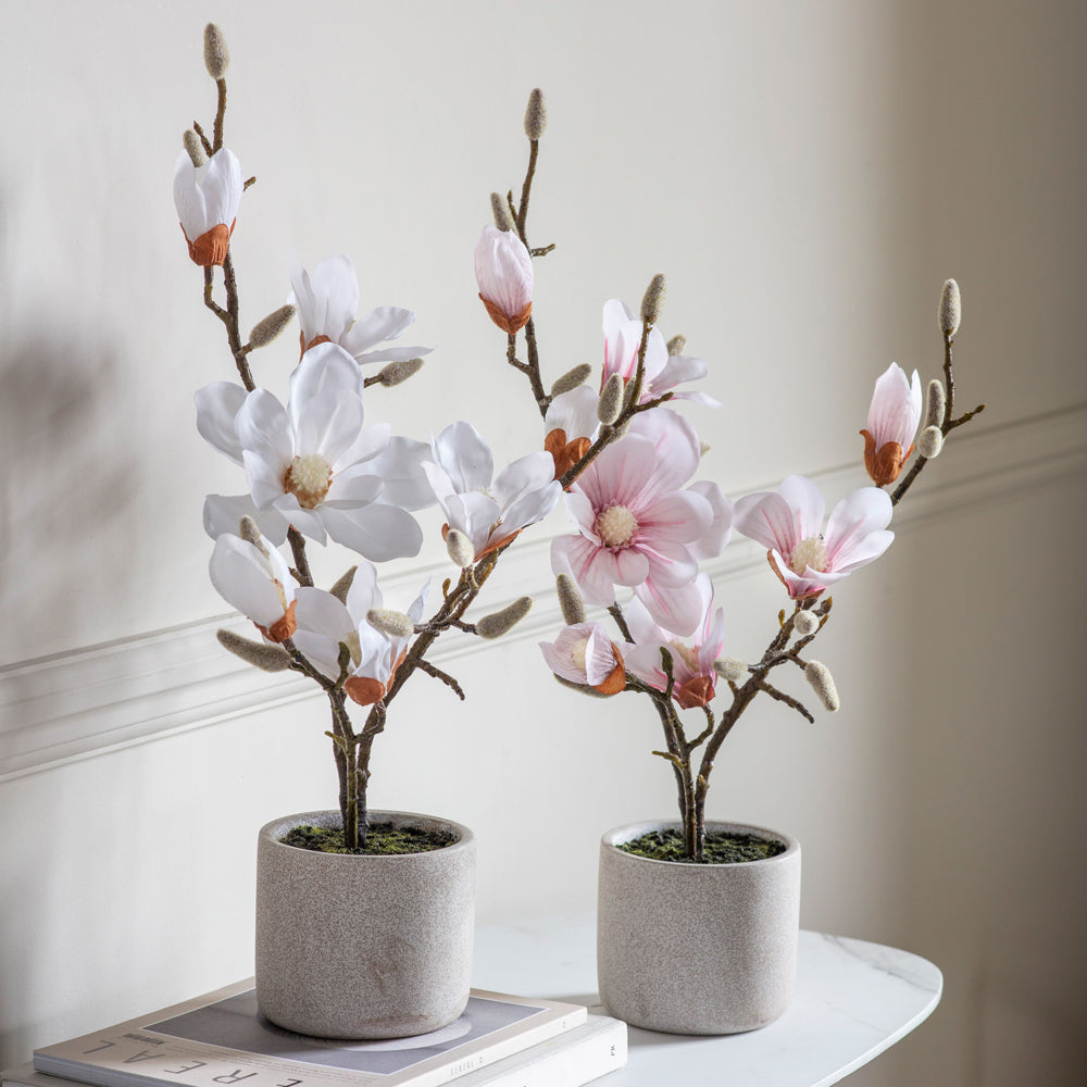 Gallery Interiors Raskop Potted Magnolia White