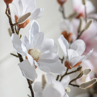 Gallery Interiors Raskop Potted Magnolia White