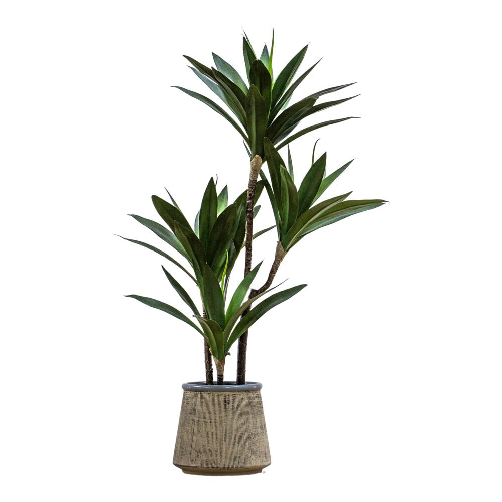 Sted Raptis Gallery Interiors Raptis Potted Yucca Faux Plant Green | Olivia's.com