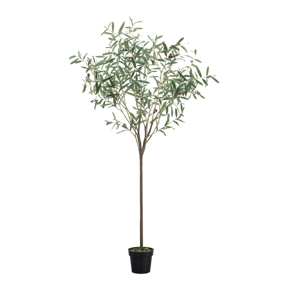 Gallery Interiors Joy Olive Tree Faux Plant in Green