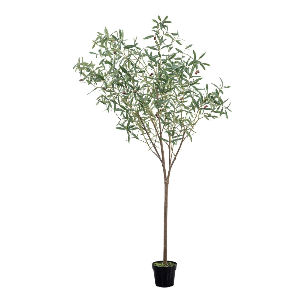 Gallery Interiors Joy Olive Tree Faux Plant in Green