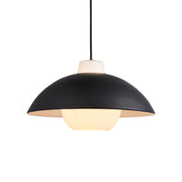 Olivia's Hallie Curved Pendant Light in Black