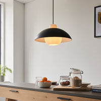 Olivia's Hallie Curved Pendant Light in Black