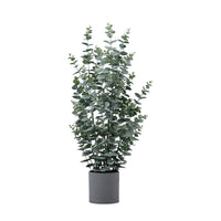 Gallery Interiors Potted Eucalyptus Bush Green Medium