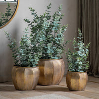 Gallery Interiors Potted Eucalyptus Bush Green Medium