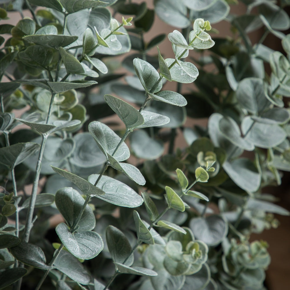 Gallery Interiors Potted Eucalyptus Bush Green Medium