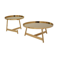 Olivia's Alvaro Set of 2 Coffee Tables