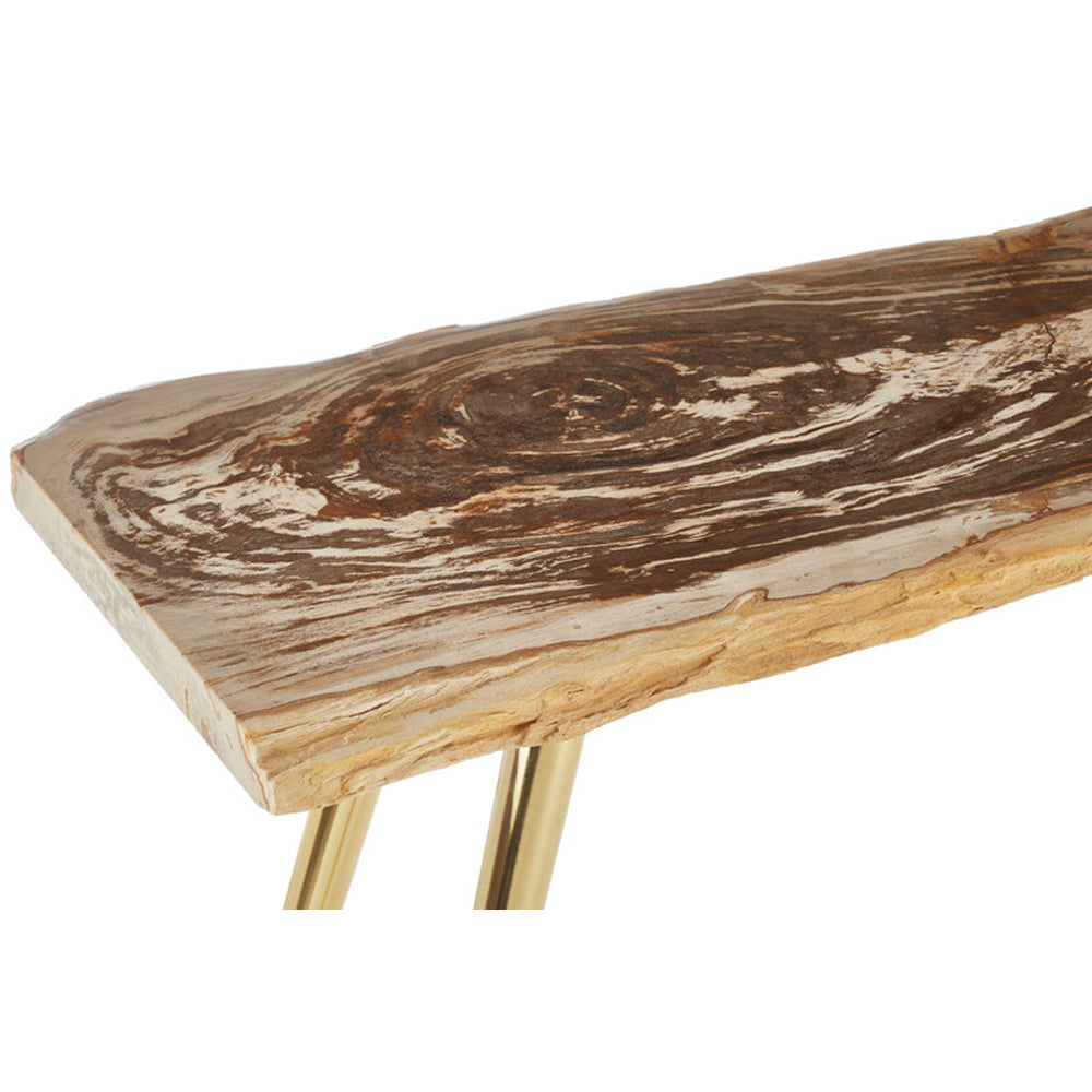Olivia's Natural Living Collection - Petrified Wood Console Table