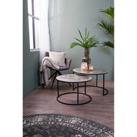 Light & Living Set of 2 Talca Coffee Table Nickel