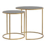 Light & Living Set of 2 Duarte Side Table Smoked Glass and Gold