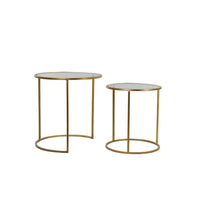 Light & Living Set of 2 Duarte Side Table Smoked Glass and Gold