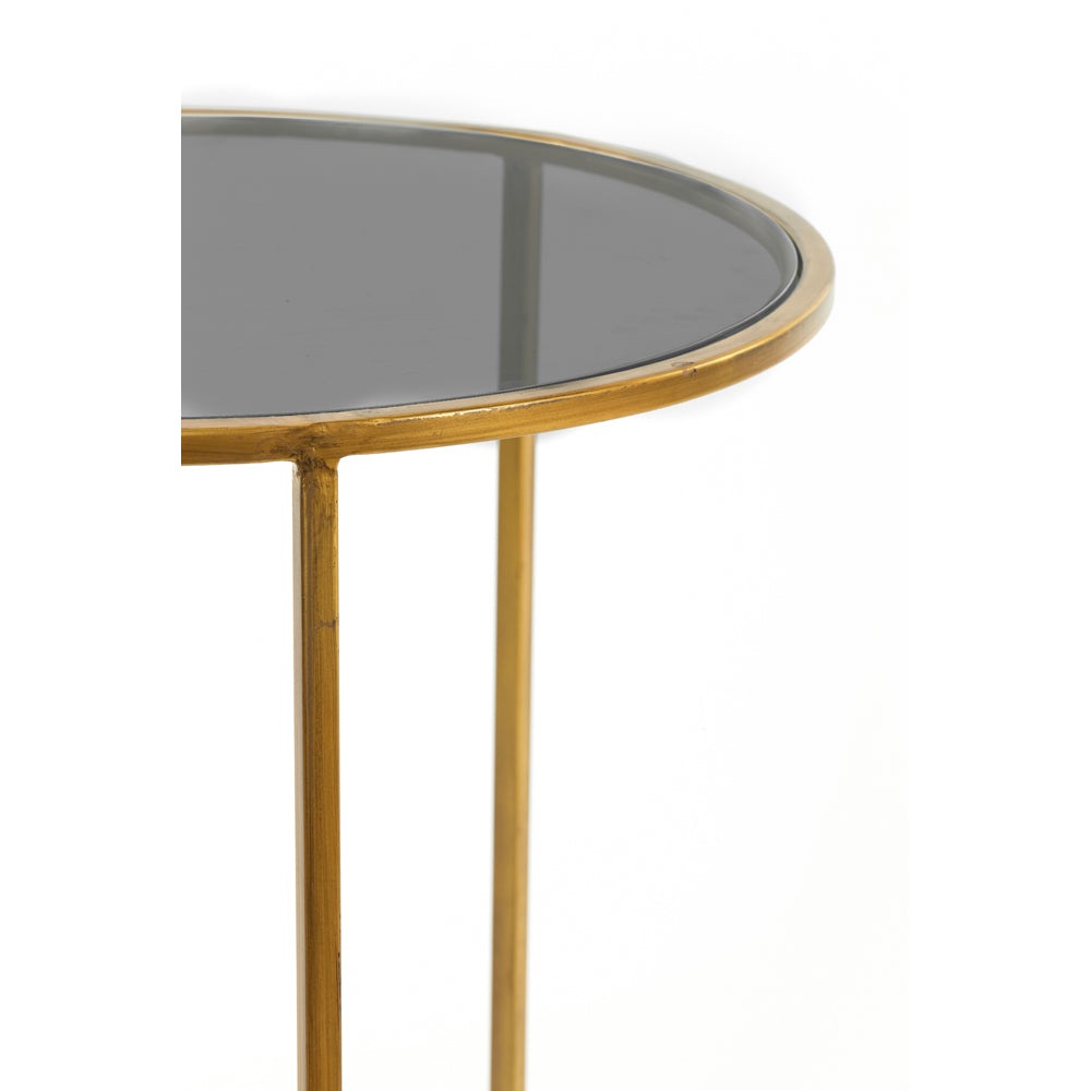 Light & Living Set of 2 Duarte Side Table Smoked Glass and Gold