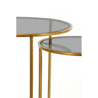 Light & Living Set of 2 Duarte Side Table Smoked Glass and Gold