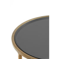 Light & Living Set of 2 Duarte Side Table Smoked Glass and Gold