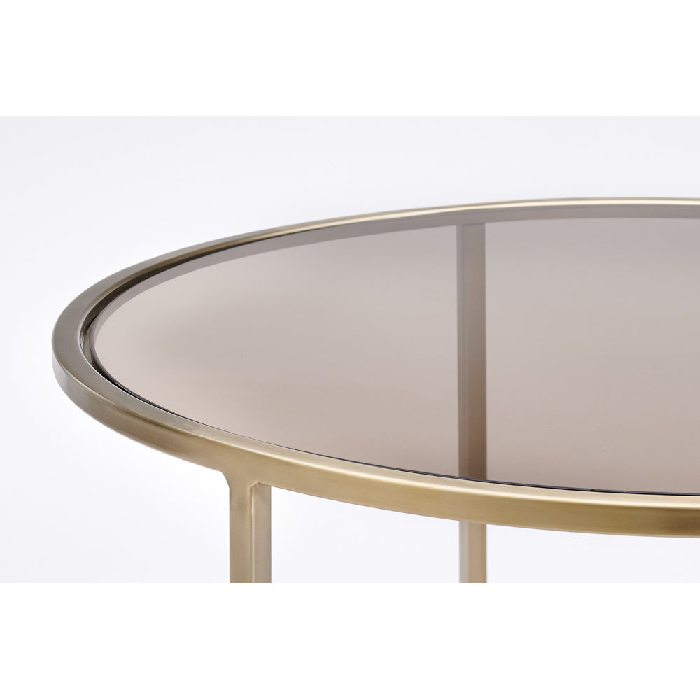 Light & Living Set of 2 Duarte Coffee Tables in Champagne Gold