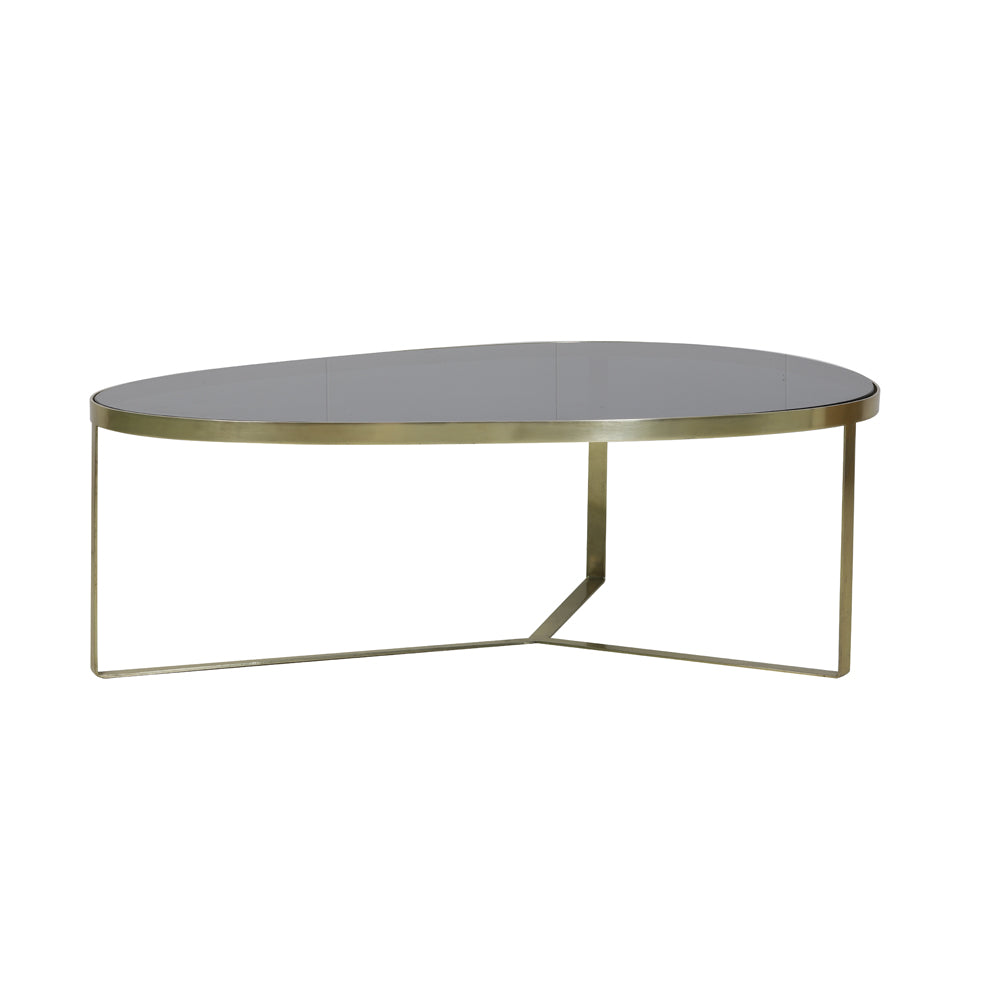 Light & Living Turbi Coffee Table Glass Black And Matt Bronze