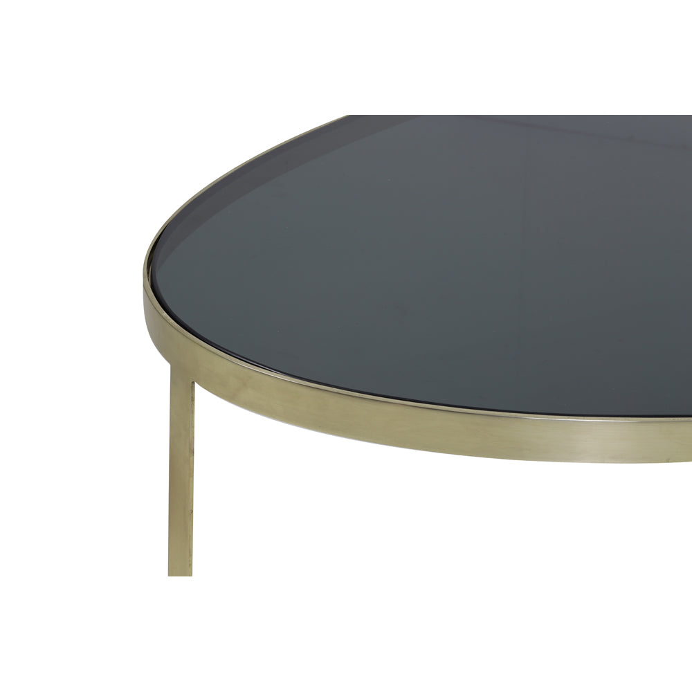 Light & Living Turbi Coffee Table Glass Black And Matt Bronze