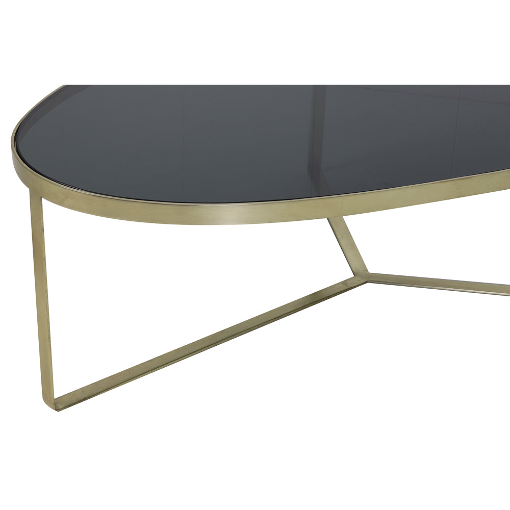 Light & Living Turbi Coffee Table Glass Black And Matt Bronze