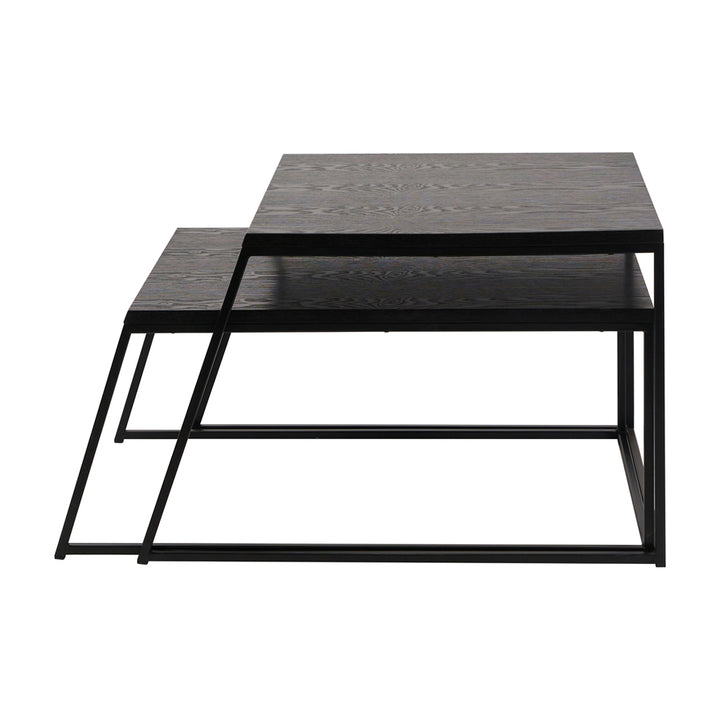 Mason Set of 2 Veneer & Metal Coffee Tables - Black Pacific Lifestyle 1