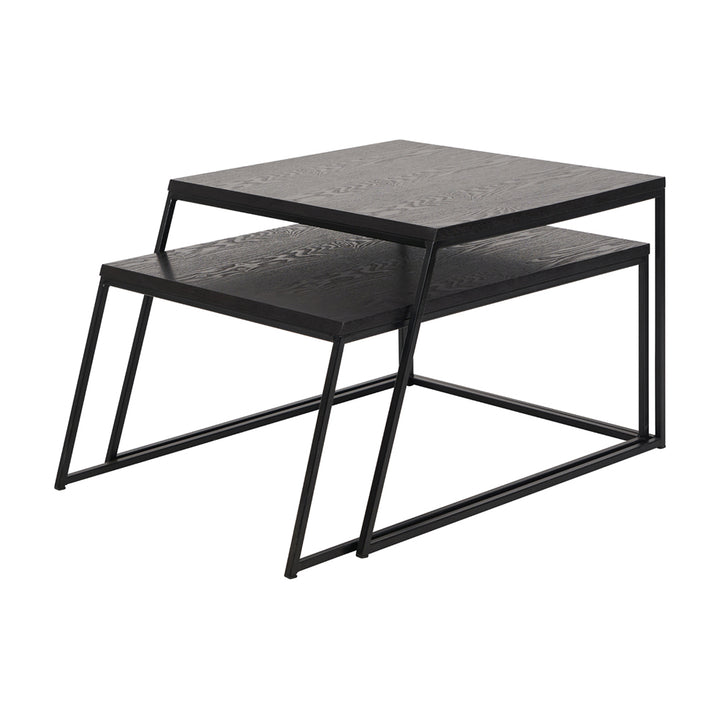 Mason Set of 2 Veneer & Metal Coffee Tables - Black Pacific Lifestyle 2