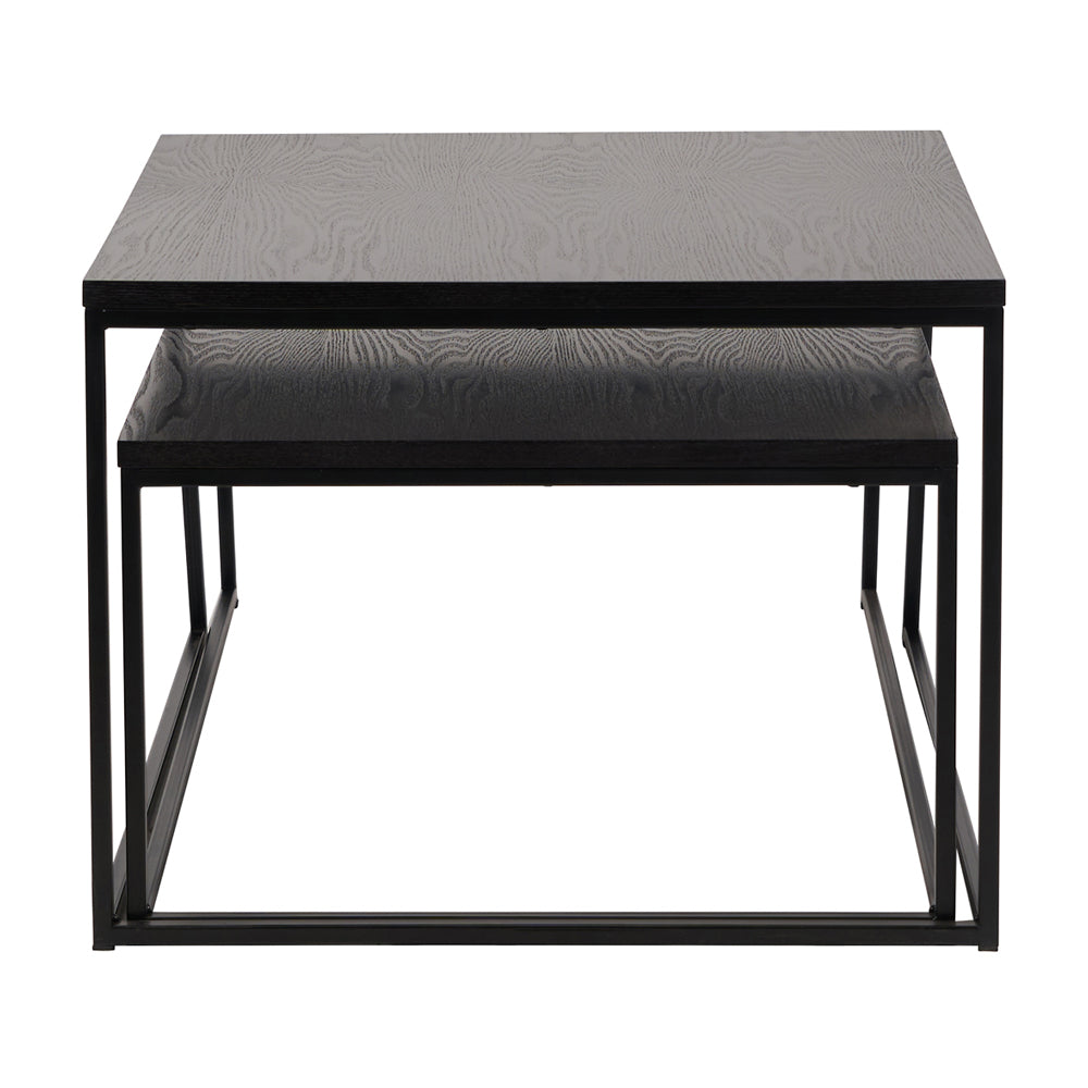 Mason Set of 2 Veneer & Metal Coffee Tables - Black Pacific Lifestyle 4