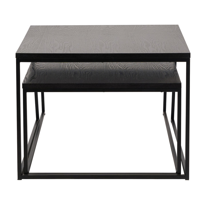 Mason Set of 2 Veneer & Metal Coffee Tables - Black Pacific Lifestyle 4
