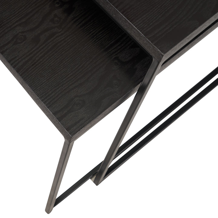 Mason Set of 2 Veneer & Metal Coffee Tables - Black Pacific Lifestyle 7