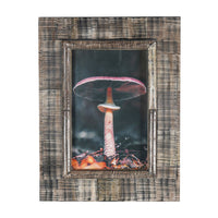 Libra Interiors Rustic Brown Horn Photo Frame