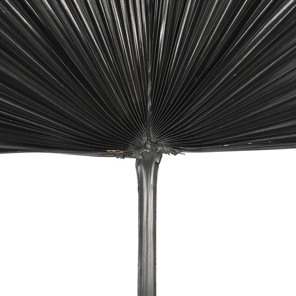 Libra Interiors Wide Fan Palm Leaf in Black