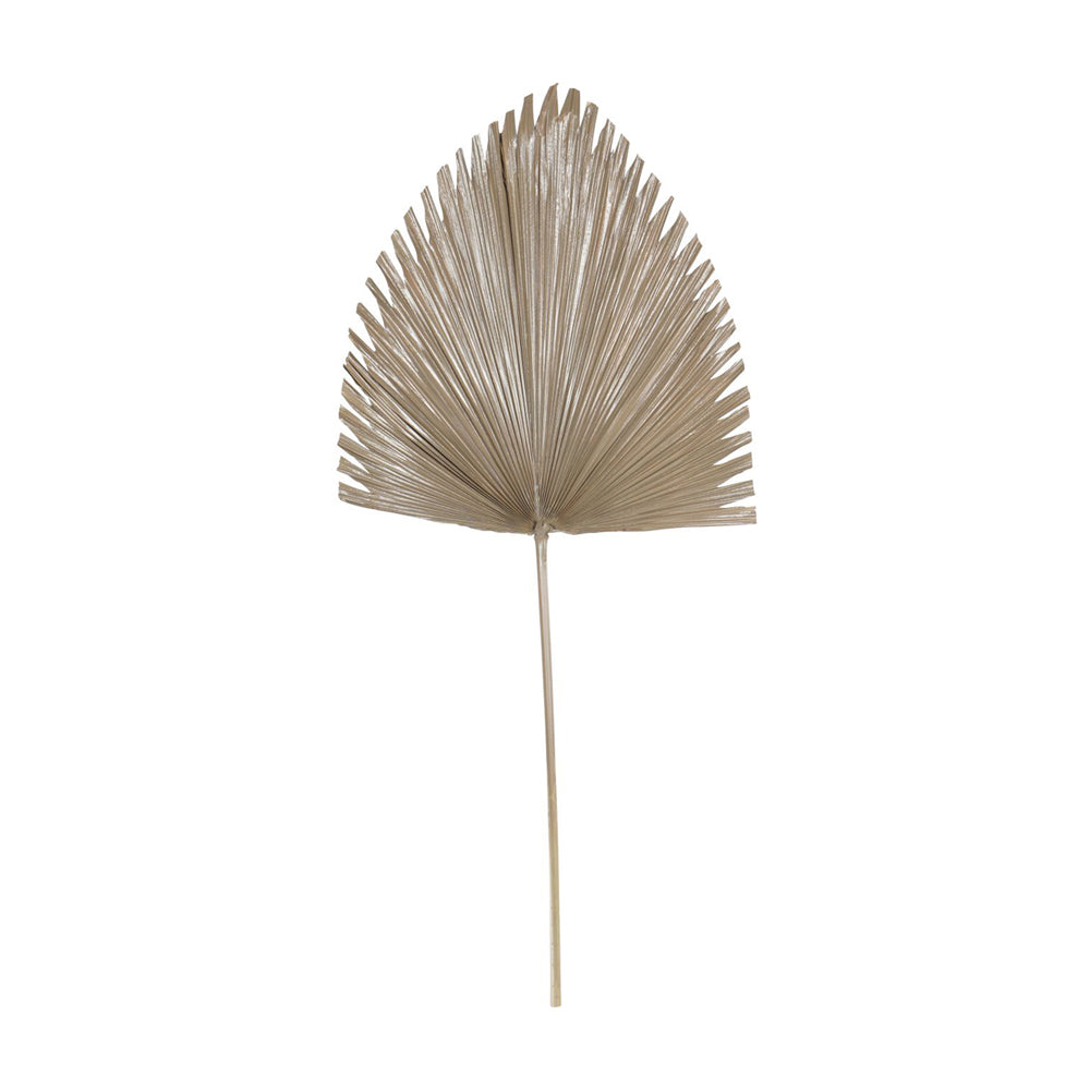 Libra Interiors Arrowhead Palm Leaf in Brown