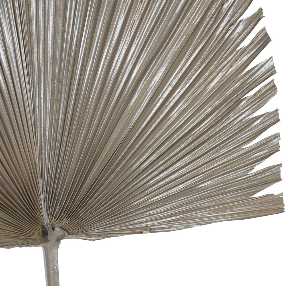 Libra Interiors Arrowhead Palm Leaf in Brown