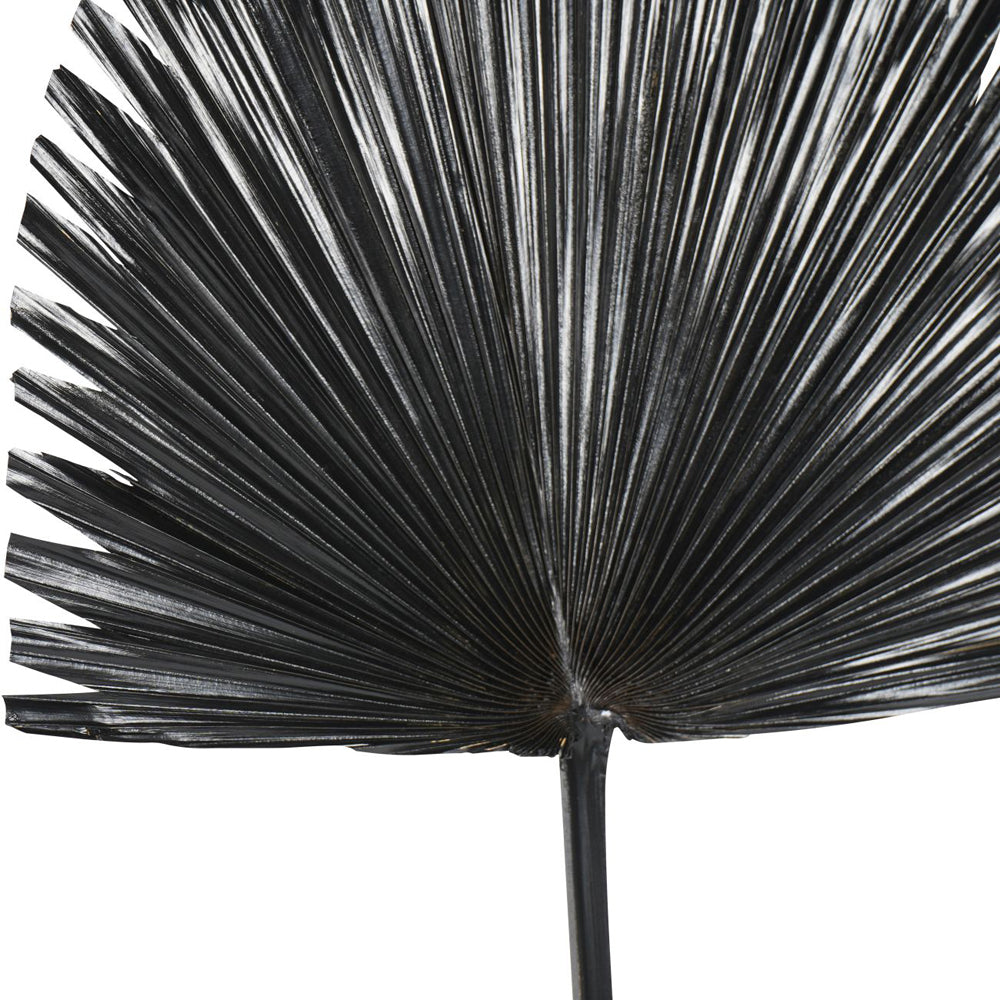 Libra Interiors Arrowhead Palm Leaf in Black