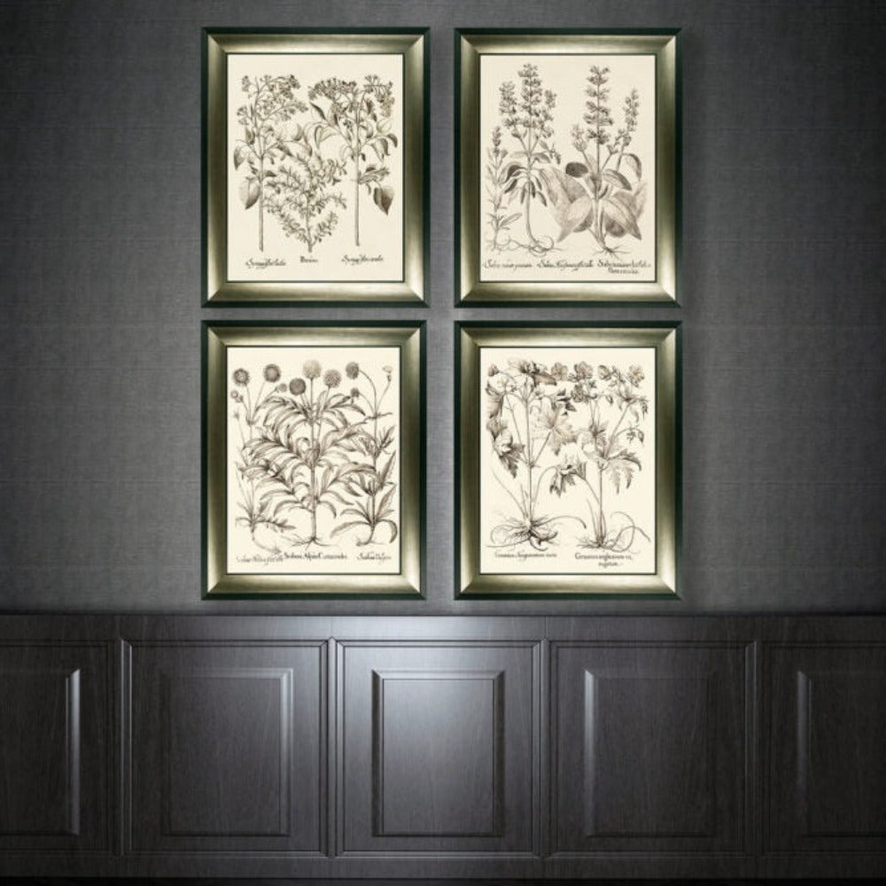 Olivia's 'Sepia Botanials I' - Framed & Glazed Print - 89x72.5cm