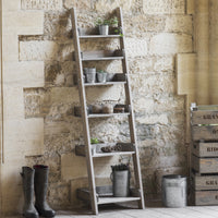 Garden Trading Aldsworth Shelf Ladder in Spruce