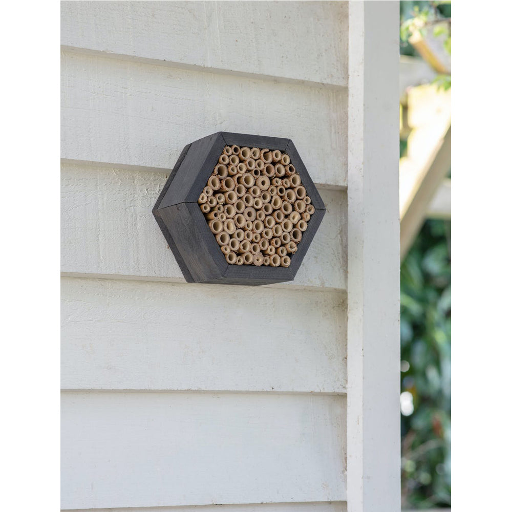  GTWarehouse-Garden Trading Wild Bee House-Grey  637 
