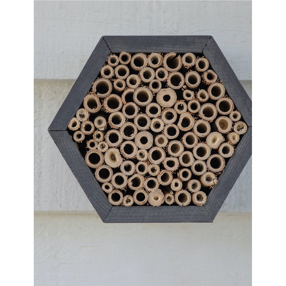  GTWarehouse-Garden Trading Wild Bee House-Grey  405 