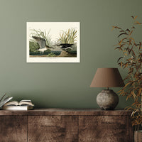 The Art Group John James Audubon Solitary Sandpiper Canvas Print