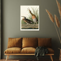 The Art Group John James Audubon Salt Water Marsh Hen Canvas Print