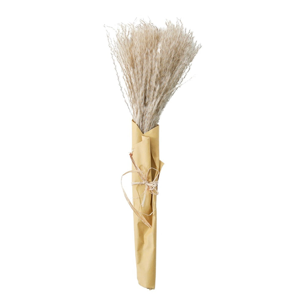 Gallery Interiors Clark Dried Reed Grass Bundle Paper Wrap Natural