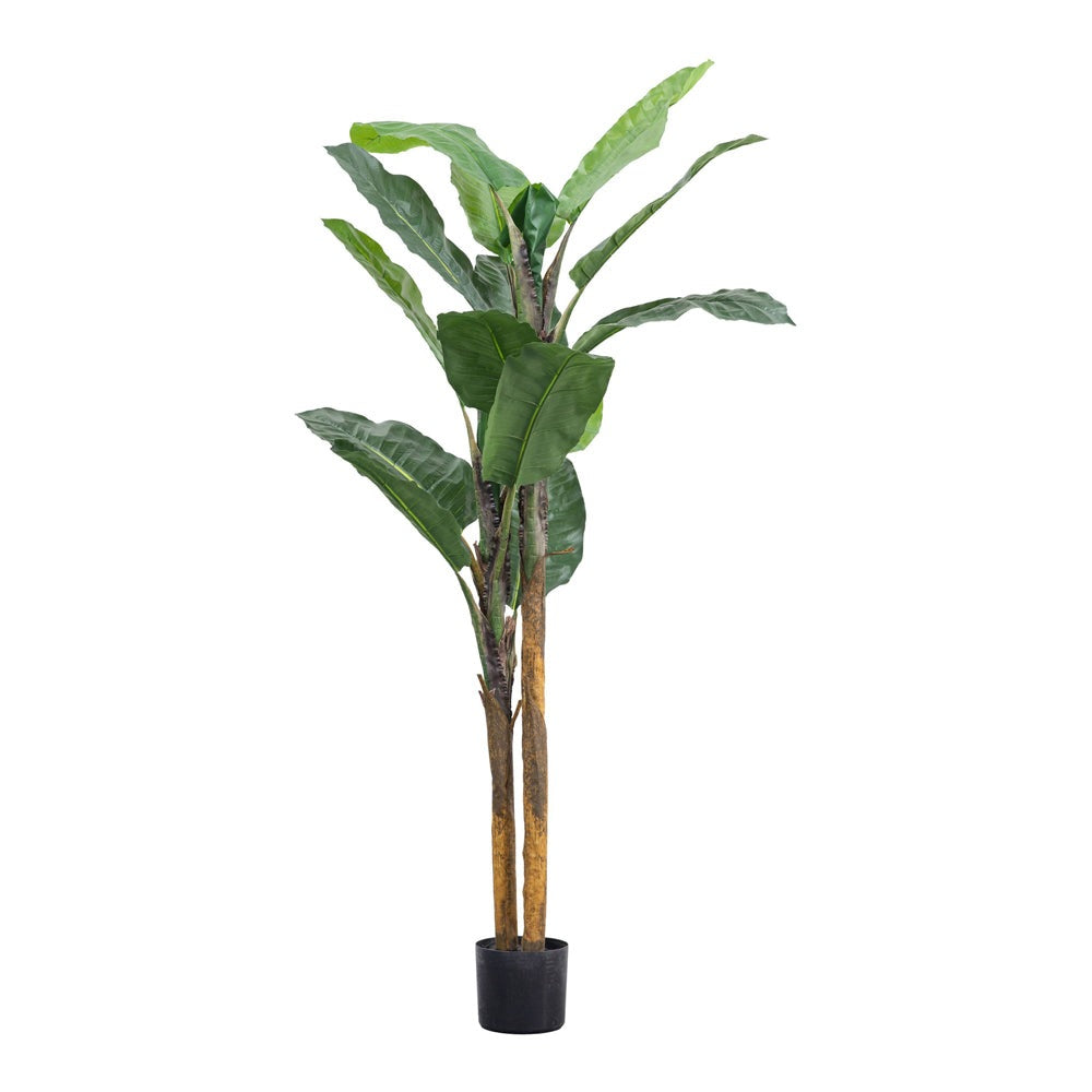 Gallery Interiors Finley Banana Palm Faux Plant Green