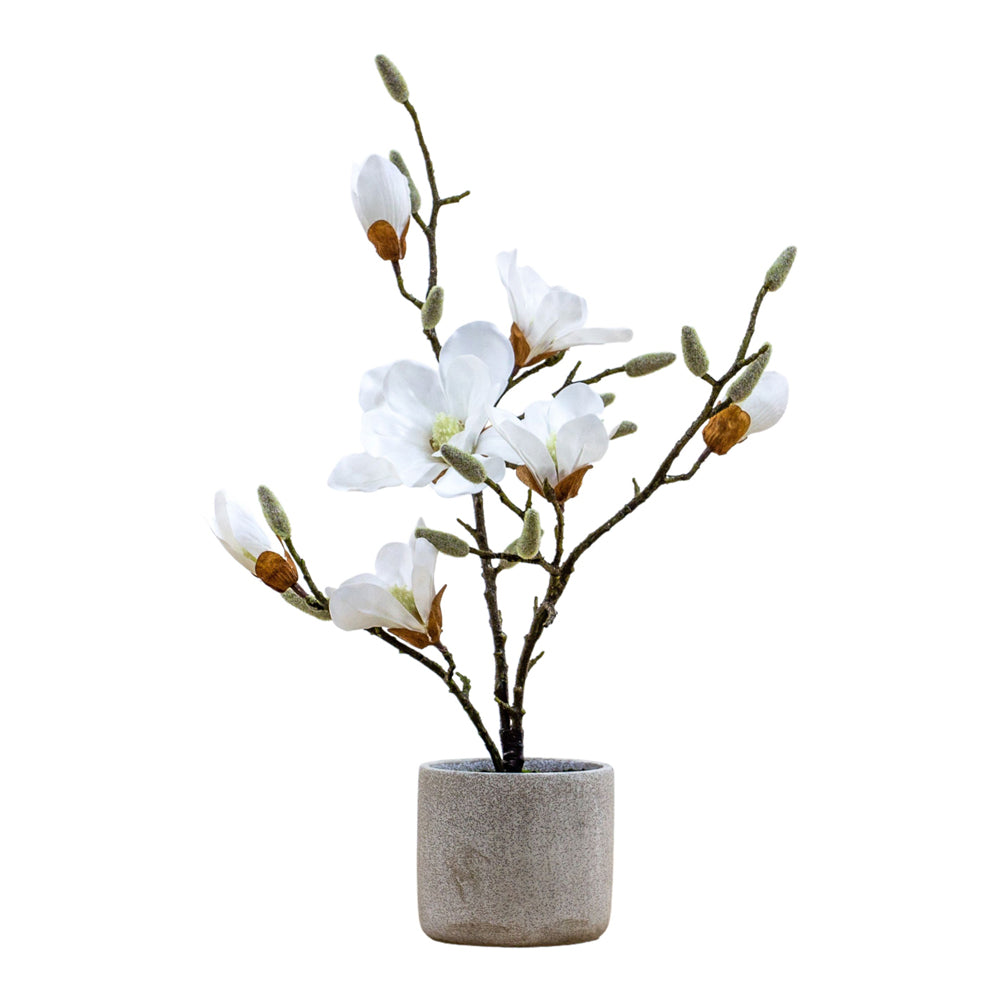 Gallery Interiors Raskop Potted Magnolia White