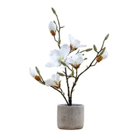 Gallery Interiors Raskop Potted Magnolia White